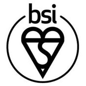 BSI Logo